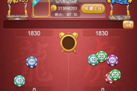 【亲测修复】上庄桃娃龙虎斗完美版源码+修复控制+支付+二维码提现+机器人+视频文字教程