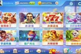 网狐系列三网通 飞米电玩