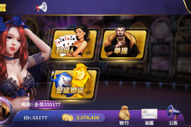 大富豪二开 皇家娱乐 云顶棋牌
